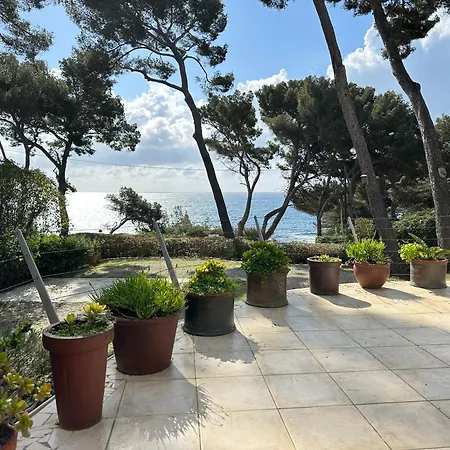 Grande Face A La Plage, Superbe Vue ラ・セーヌ・シュル・メール